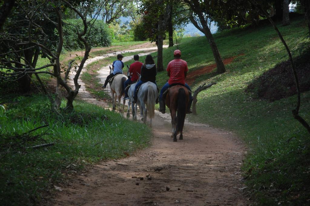 Agroturismo De Minas Fazenda Caxambu